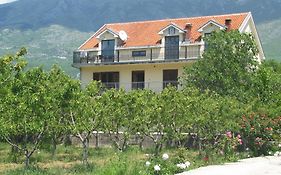 Apartments Ivetić